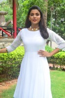 Anisha Ambrose Wet Dress Photos